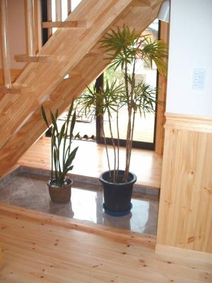 小さな坪庭は癒し空間